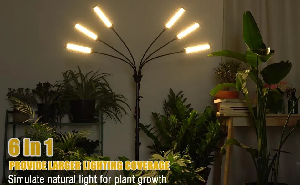 36020250427233347042 36020250427233347042