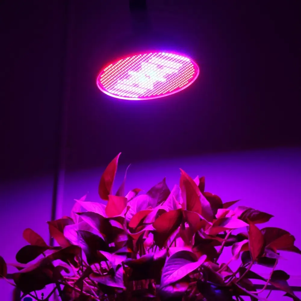 full spectrum led grow light bulbs 8 full spectrum led grow light bulbs 8