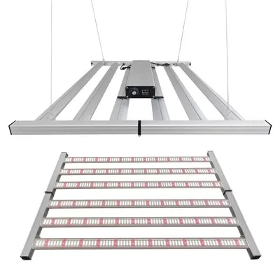 نوار چراغ رشد عنکبوت نوار چراغ