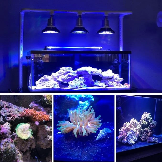 UV LED Aquarium Light